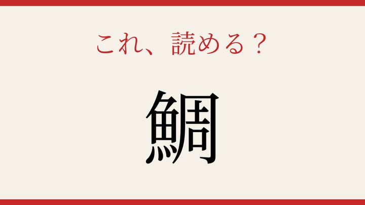 【難読漢字】パッと読めたら自慢できる！魚へんの定番の問題画像