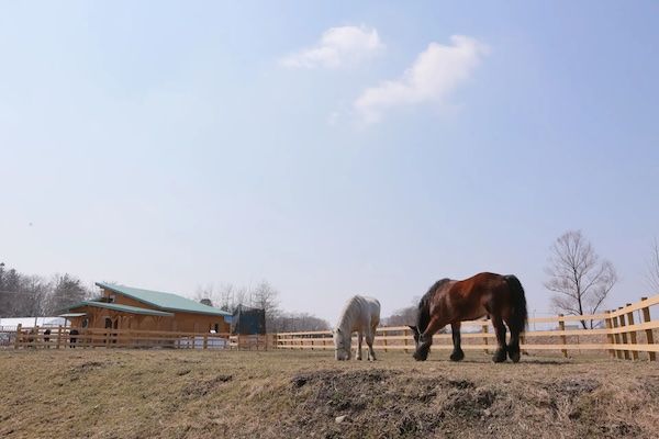 北海道・十勝の「ばん馬」や、奇跡の循環から生まれる美味しさを知ってほしい！「ばん馬から生まれる十勝のパンとお菓子のセット」