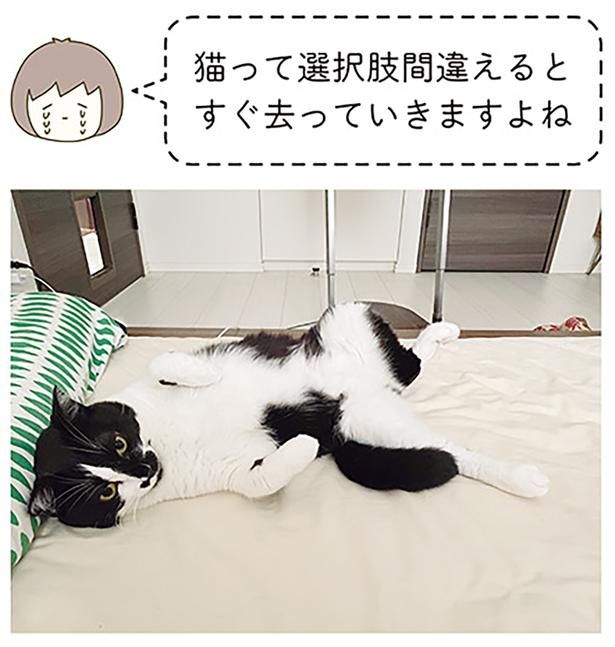 選択肢間違えると… （C）卵山玉子／KADOKAWA