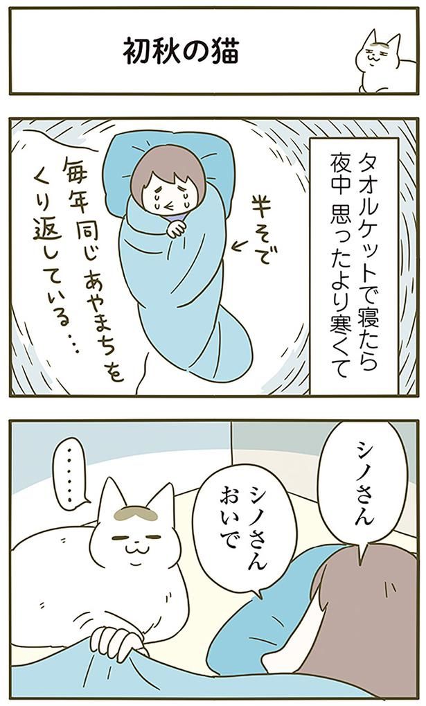 初秋の猫 （C）卵山玉子／KADOKAWA