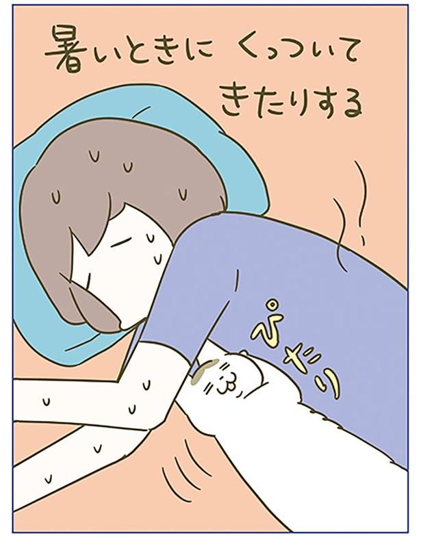 暑いときにくっついてきたりする （C）卵山玉子／KADOKAWA