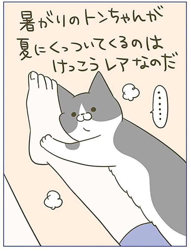 けっこうレア （C）卵山玉子／KADOKAWA