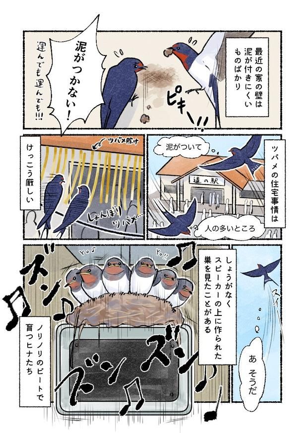 巣作りの場所に困った親鳥が見つけた最適な場所とは…!? ツバメ03「住宅難のツバメたち」 画像提供：piro piro piccolo