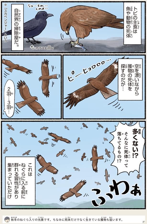そんなに死体って落ちてるもの！？ （C）piro piro piccolo／KADOKAWA