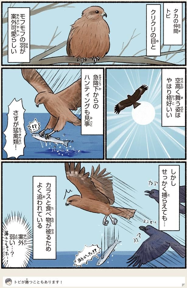 案外弱い…？ （C）piro piro piccolo／KADOKAWA