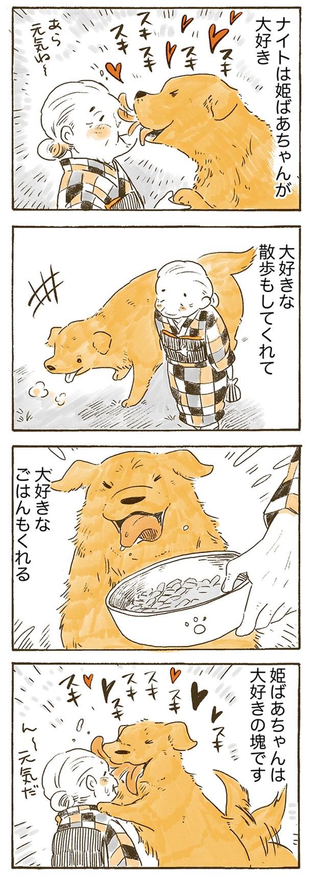 ナイトは姫ばあちゃんが大好き （C）佐倉イサミ／KADOKAWA