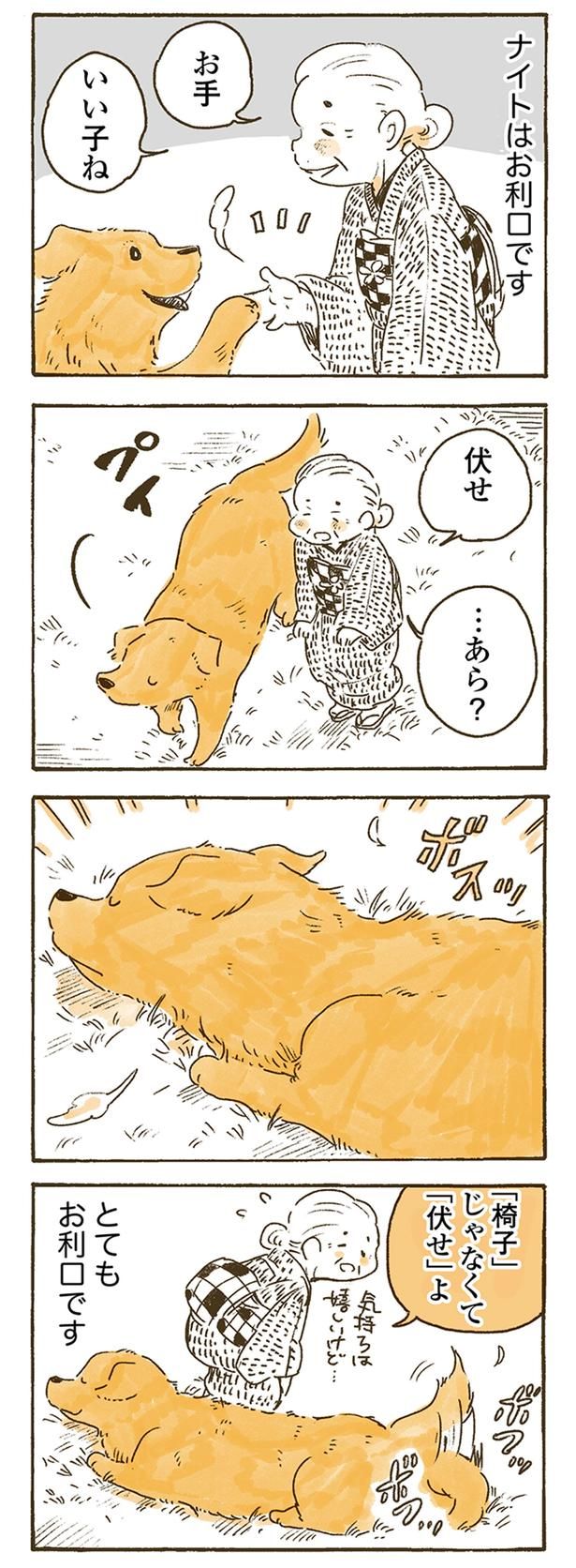 ナイトはお利口です （C）佐倉イサミ／KADOKAWA