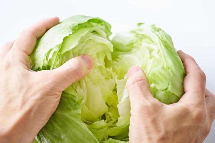 レタスは「包丁を使わない」のはなぜ？