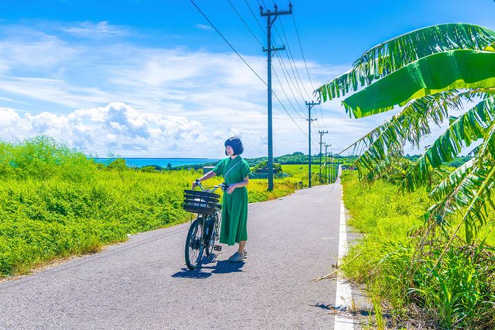 小浜島 サイクリング