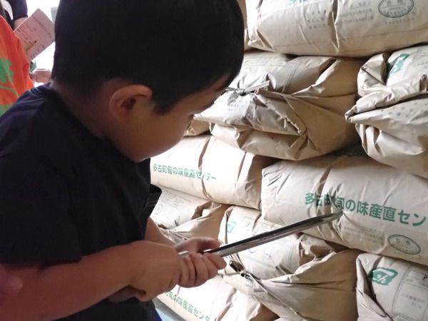 コープみらいが、産地の米づくりを応援する「多古旬のお米くらぶ2026」稲刈り体験開催