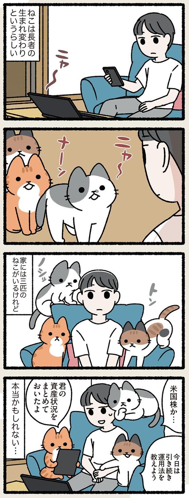 ねこは長者の生まれ変わり （C）ぱんだにあ／KADOKAWA