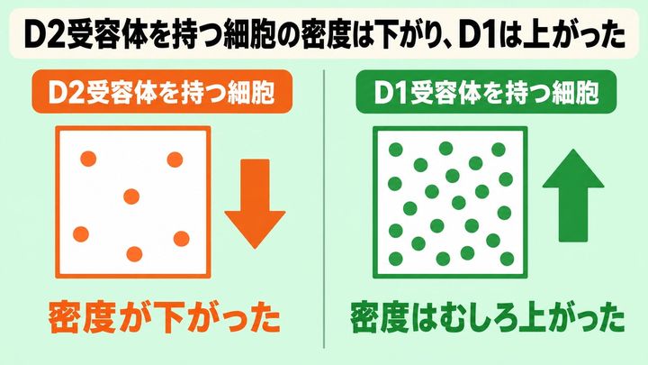 「薬が効きにくい人」のADHDと、どうつながるのか