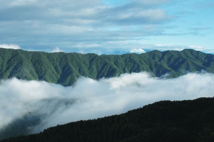 天の川の聖地！長野県「しらびそ高原天の川」限定屋根付きライダープラン｜宿カタログ