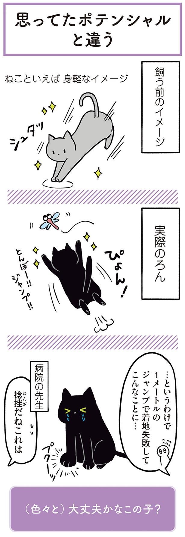ねこといえば身軽なイメージ （C）AKR／KADOKAWA