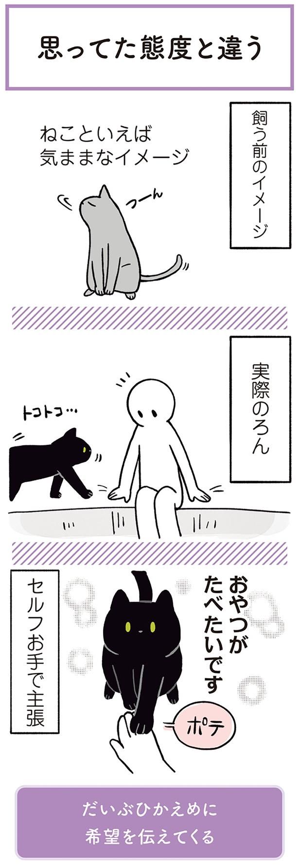 ねこといえば気ままなイメージ （C）AKR／KADOKAWA