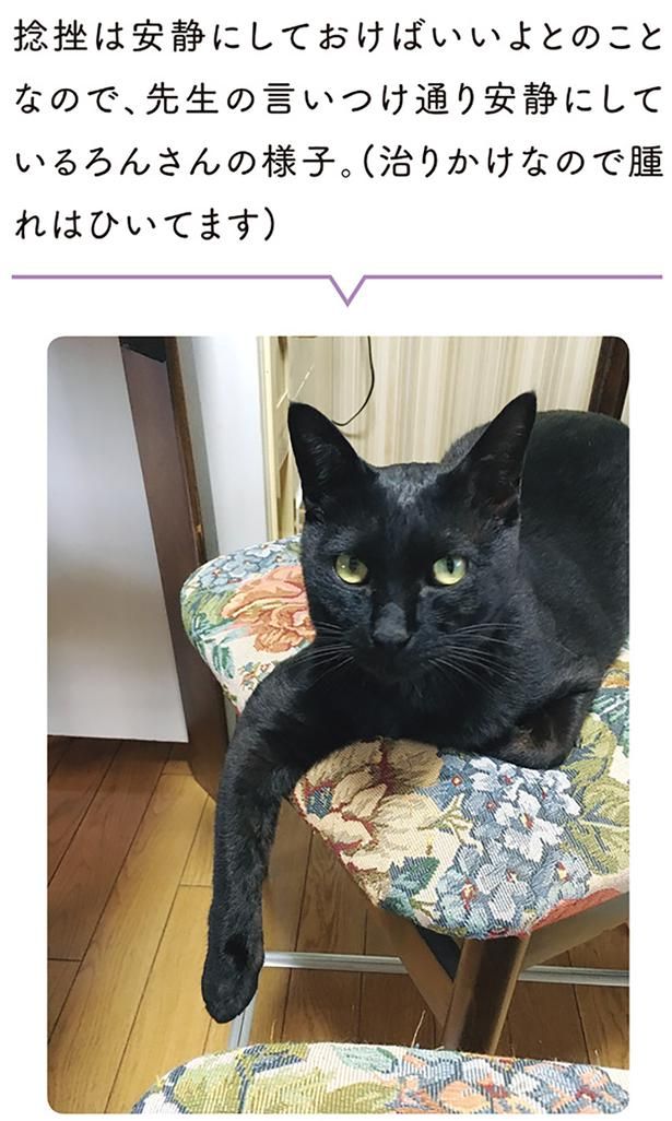 先生の言いつけ通り安静にしているろんさんの様子 （C）AKR／KADOKAWA