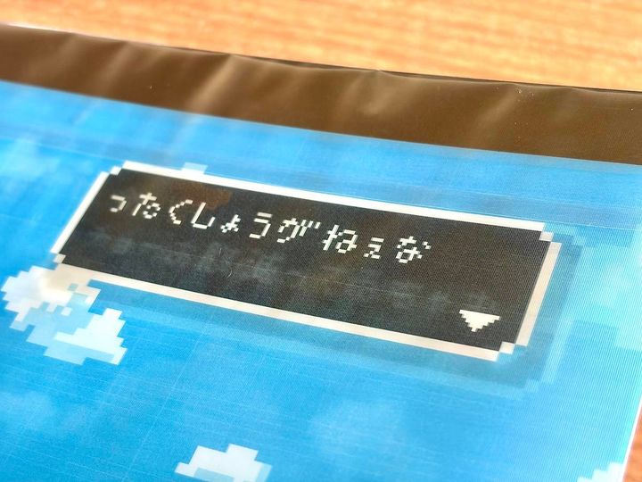 写真⑧