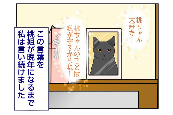 【マンガ・老猫日誌＃122】晩年まで言い続けた「守るからね」〜思い出の老猫日誌・桃姐と小論