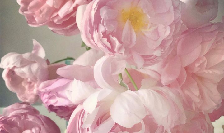 Nick Knight