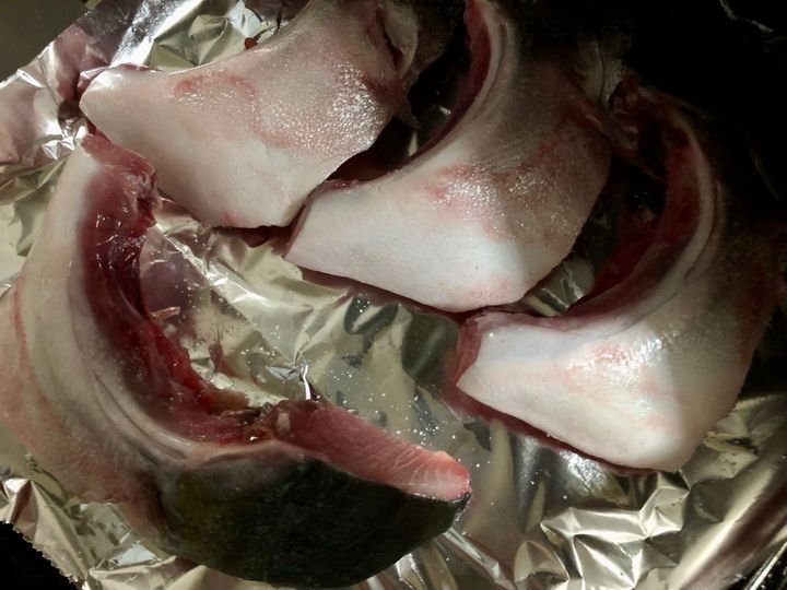 【天然魚クエスト】家族で食育！安くて美味しい〈ぶりかま編〉
