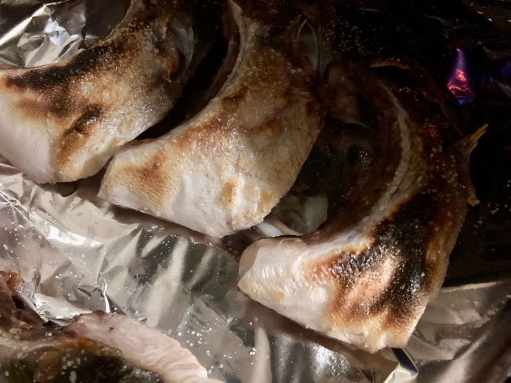 【天然魚クエスト】家族で食育！安くて美味しい〈ぶりかま編〉