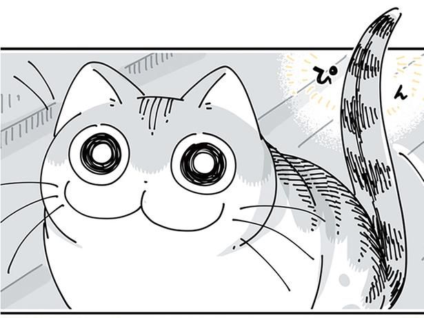 目があうと （C）キュルZ／KADOKAWA