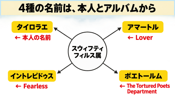 4種の名前は、本人とアルバムから
