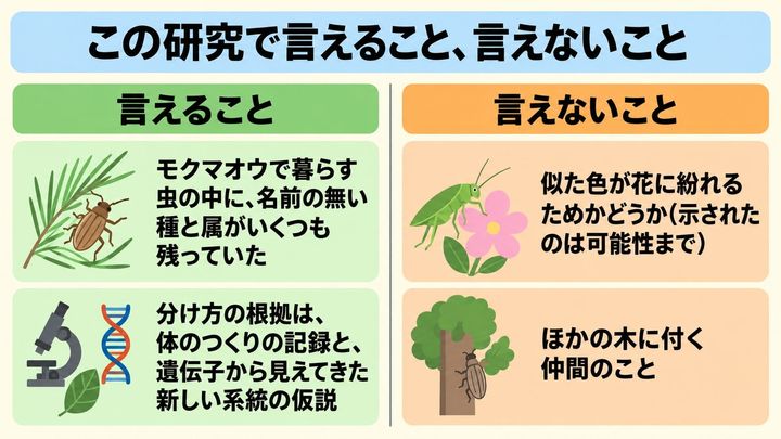 この研究で言えること、言えないこと