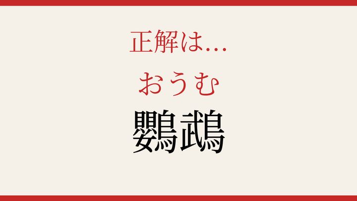 【難読漢字】この読み方、知ってる？カラフルな羽の鳥の解答画像