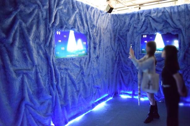 もふもふな毛並みが敷き詰められた空間 撮影：ソムタム田井