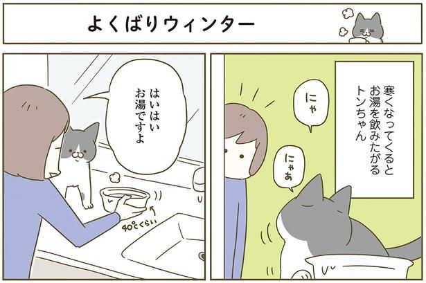 よくばりウィンター （C）卵山玉子／KADOKAWA