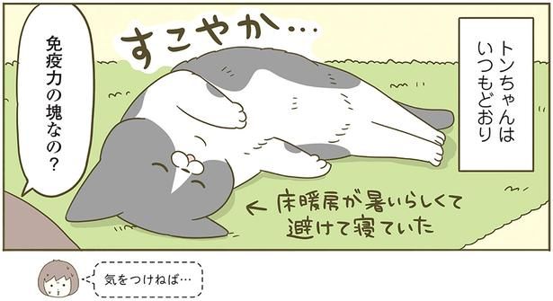 免疫力の塊なの？ （C）卵山玉子／KADOKAWA