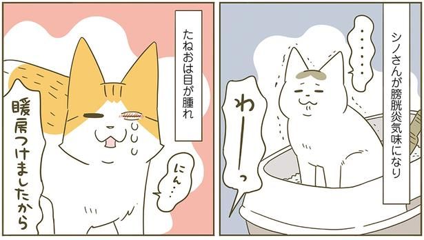 暖房つけましたから！ （C）卵山玉子／KADOKAWA
