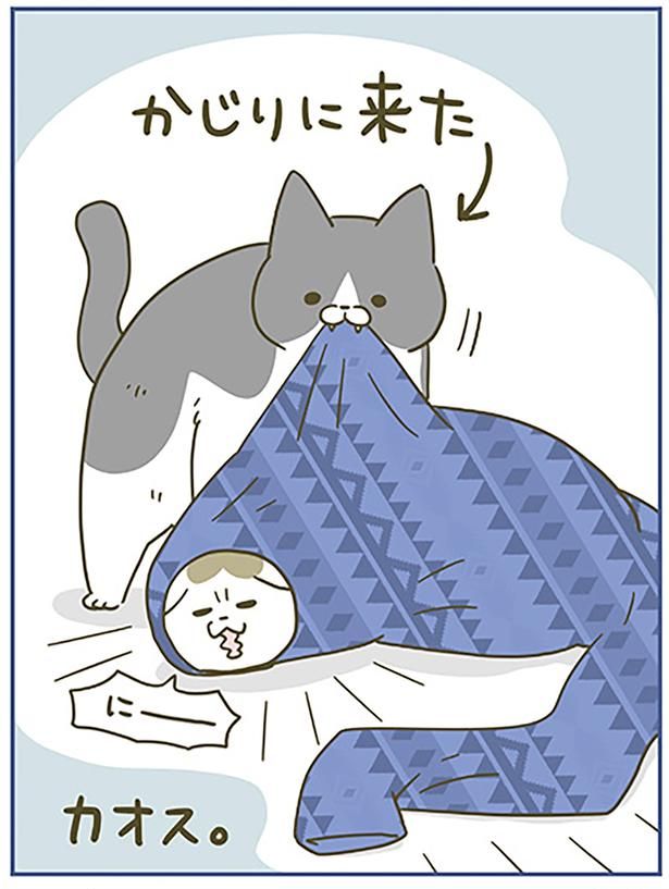 カオス。 （C）卵山玉子／KADOKAWA