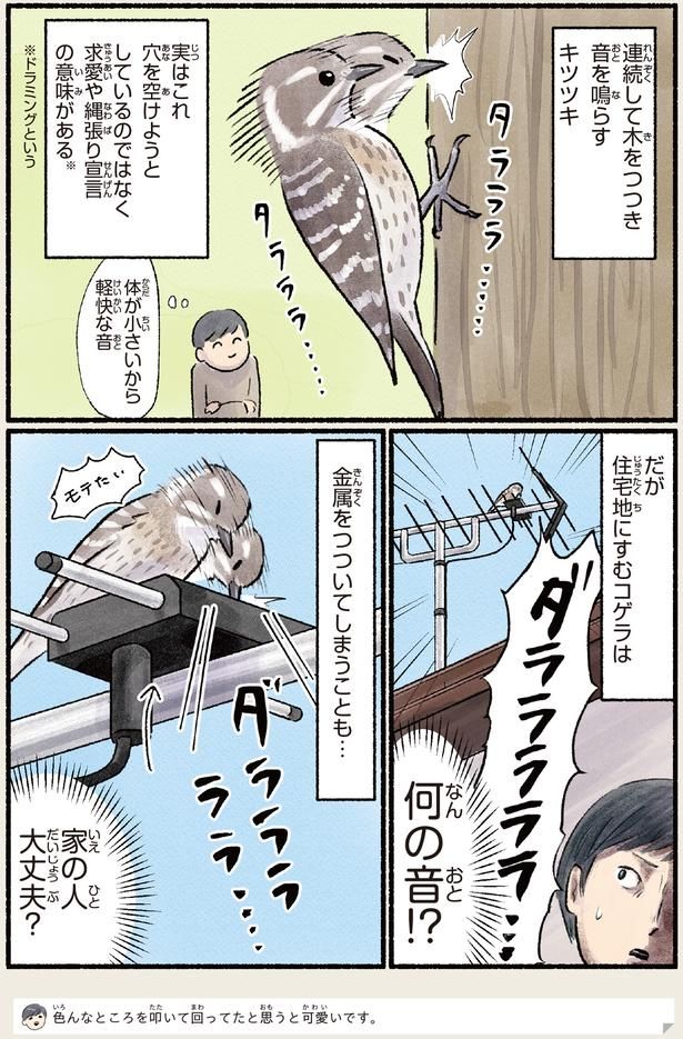 金属をつついてしまうことも… （C）piro piro piccolo／KADOKAWA