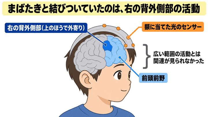 まばたきはなぜ「頭の切り替え」と結びつくのか