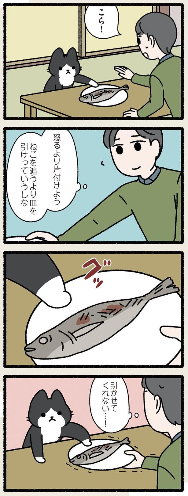 ねこを追うより皿を引け （C）ぱんだにあ／KADOKAWA