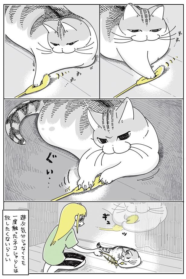 一度触ったネコじゃらしは放したくないらしい （C）キュルZ／KADOKAWA