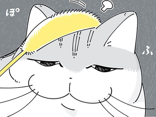 遊ぶ気無し （C）キュルZ／KADOKAWA