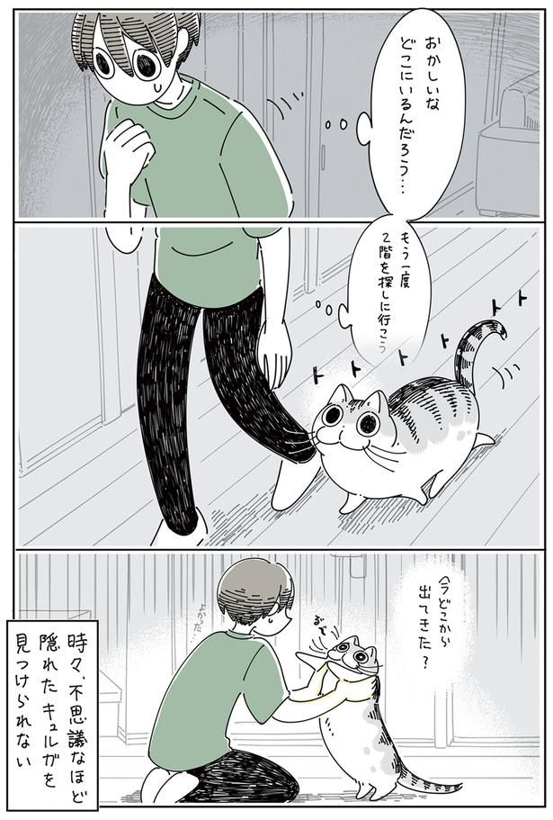 今どこから出てきた？ （C）キュルZ／KADOKAWA