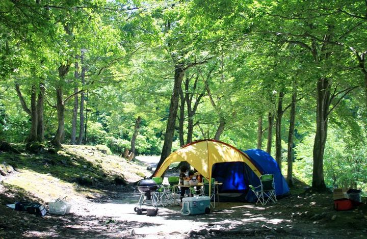 大源太山のふもとで自然を満喫！ 水遊びも楽しめる「大源太キャニオンキャンプ場」
