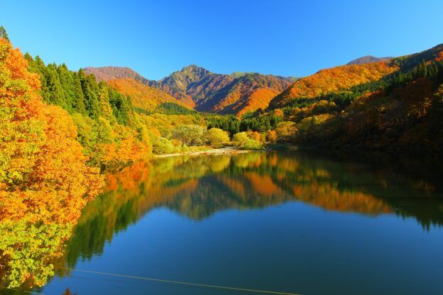 大源太山のふもとで自然を満喫！ 水遊びも楽しめる「大源太キャニオンキャンプ場」