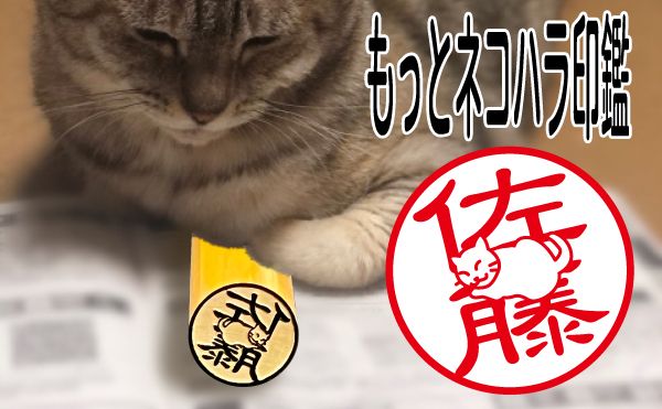 名前の上に座る猫が愛おしい「もっとネコハラ印鑑」正式発売！20品種の猫から選べる