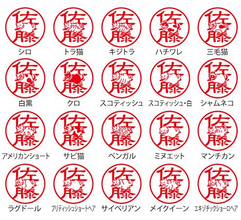 名前の上に座る猫が愛おしい「もっとネコハラ印鑑」正式発売！20品種の猫から選べる