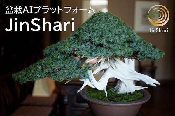 盆栽の美意識を言語化し、盆栽管理アプリJinShariに実装。研究チームがクラファン開始