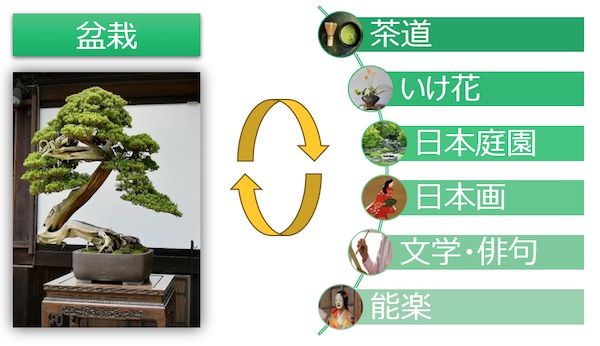 盆栽の美意識を言語化し、盆栽管理アプリJinShariに実装。研究チームがクラファン開始