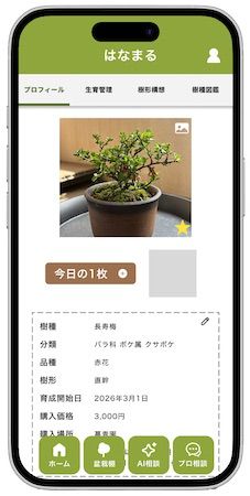 盆栽の美意識を言語化し、盆栽管理アプリJinShariに実装。研究チームがクラファン開始