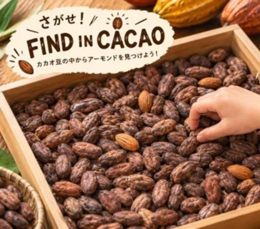 【東京都千代田区】カカオを見て・知って・食べて・遊んで・買う「Tokyo Chocolate Salon 2026」開催！
