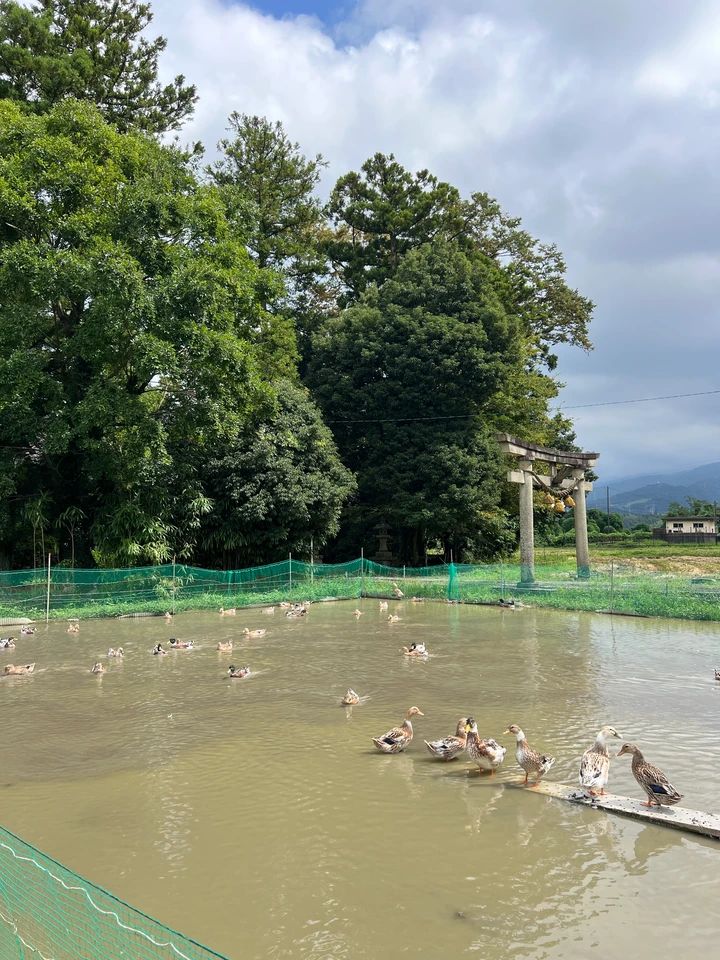 【富山旅】誕生日旅行で憧れのL’évoへ_29