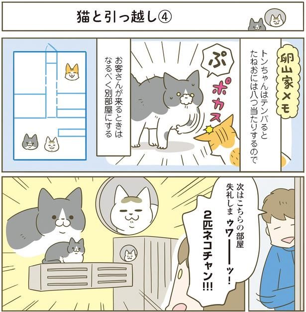2匹ネコチャン!!! （C）卵山玉子／KADOKAWA